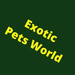 Exotic Pets World